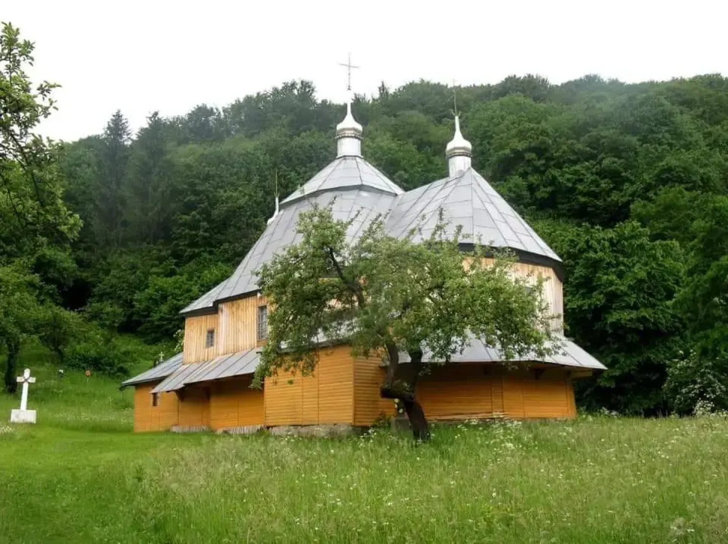 House With Mountain Views