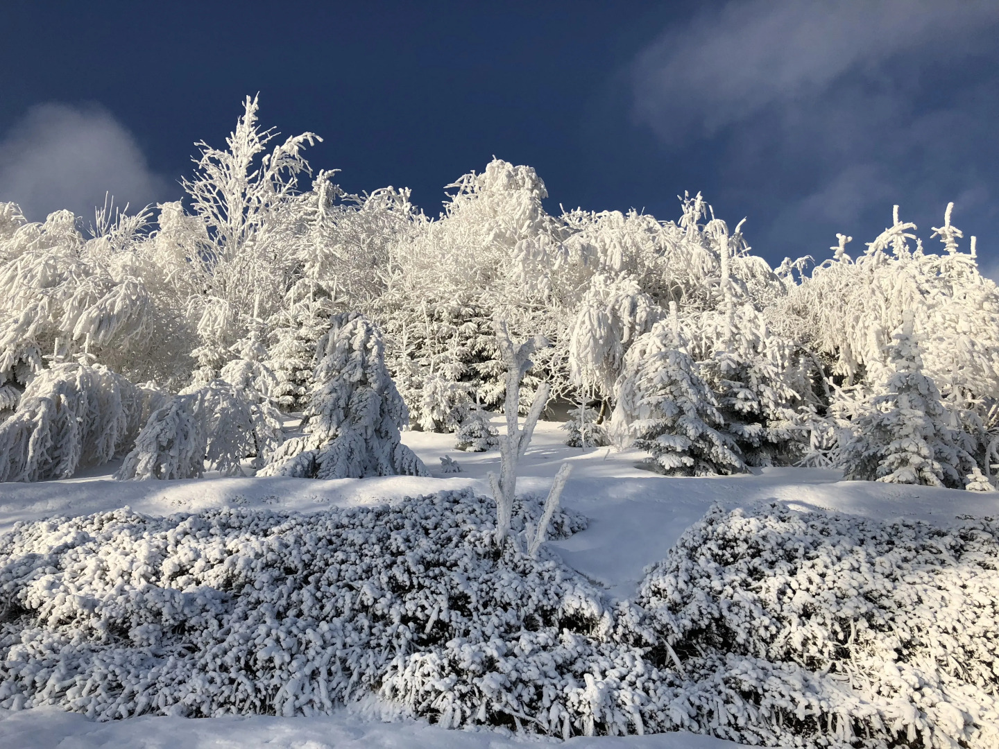 Апартаменты Fichtelbeger Blick