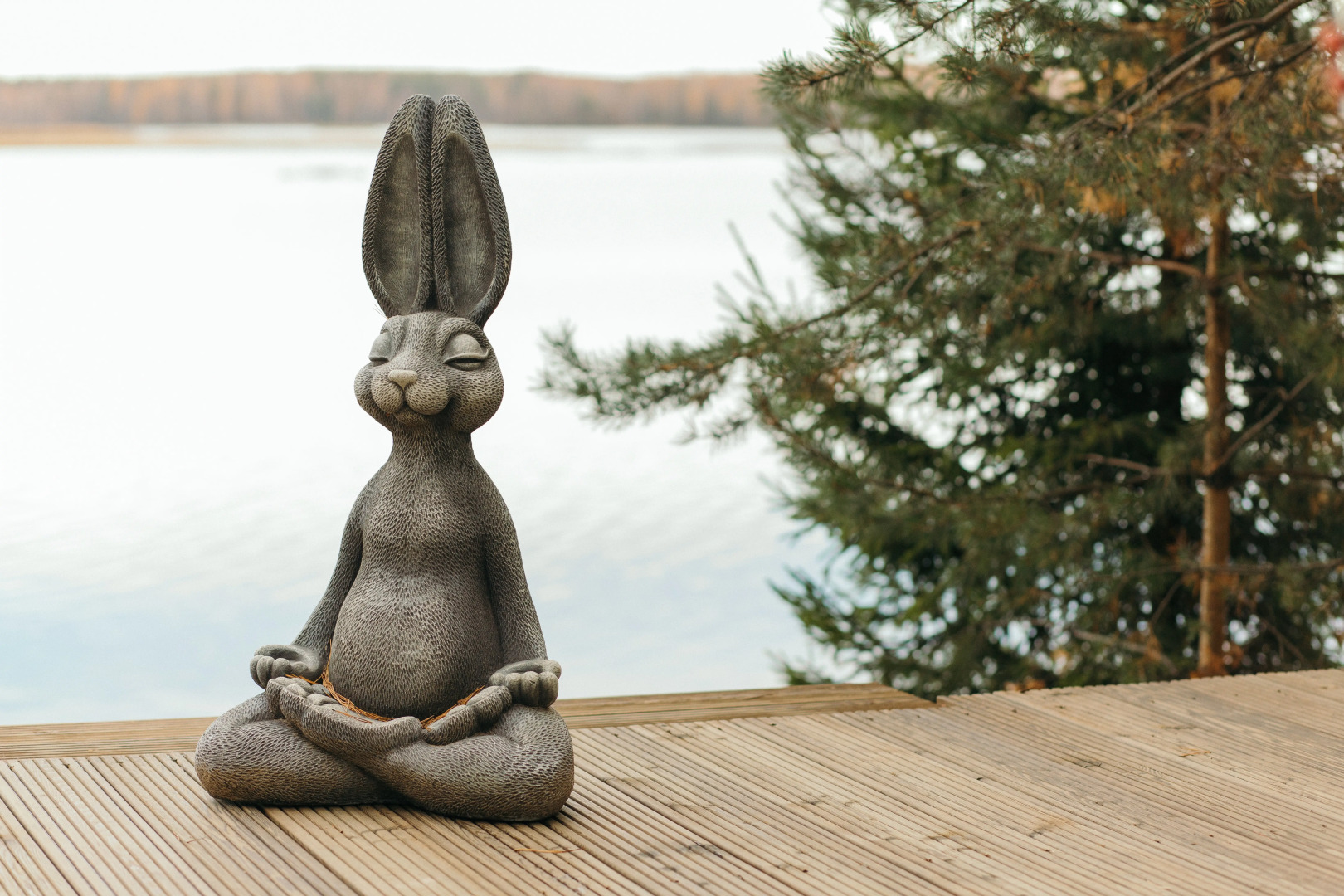 Эко-отель Лунный кролик