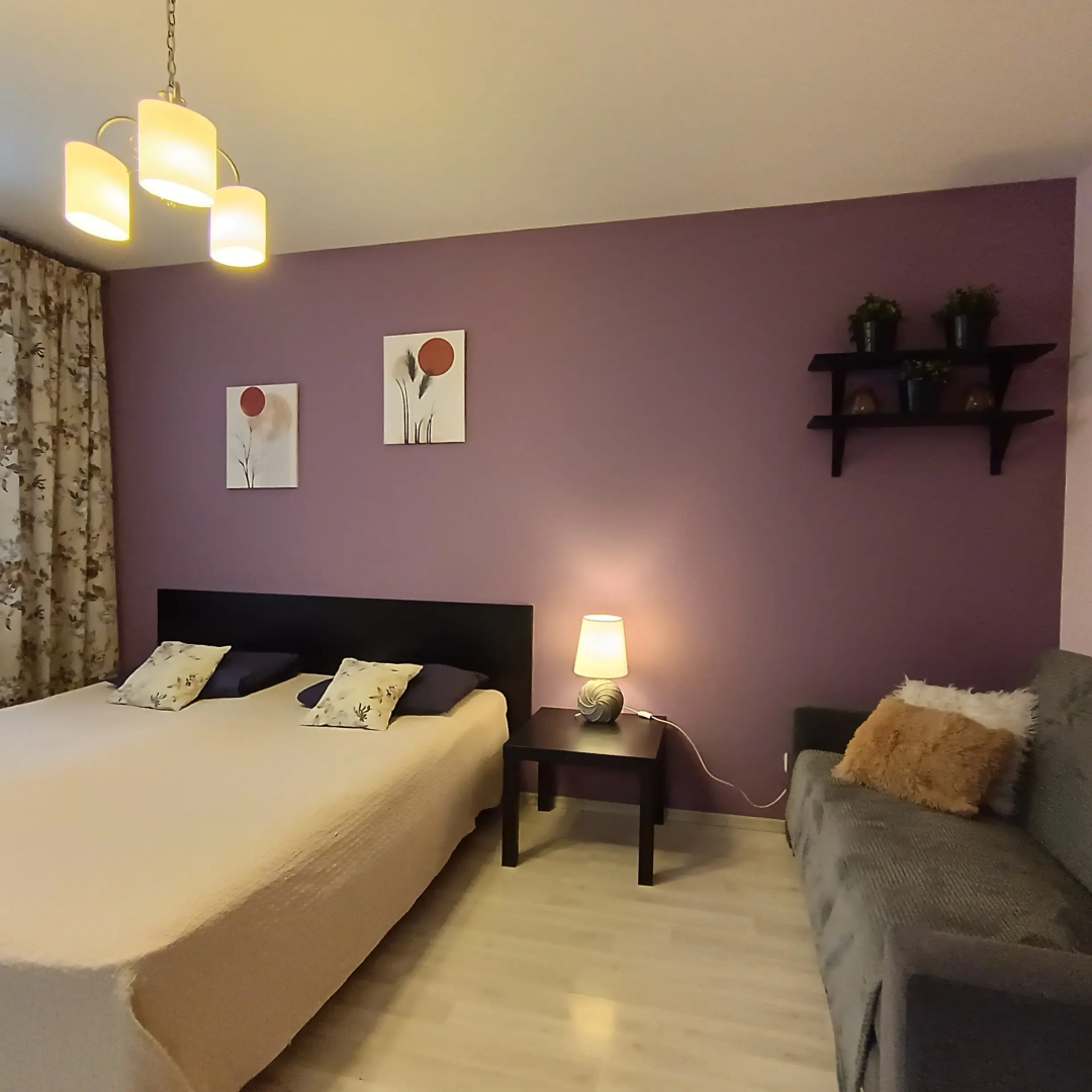 Апартаменты Библиотечная 45 #1