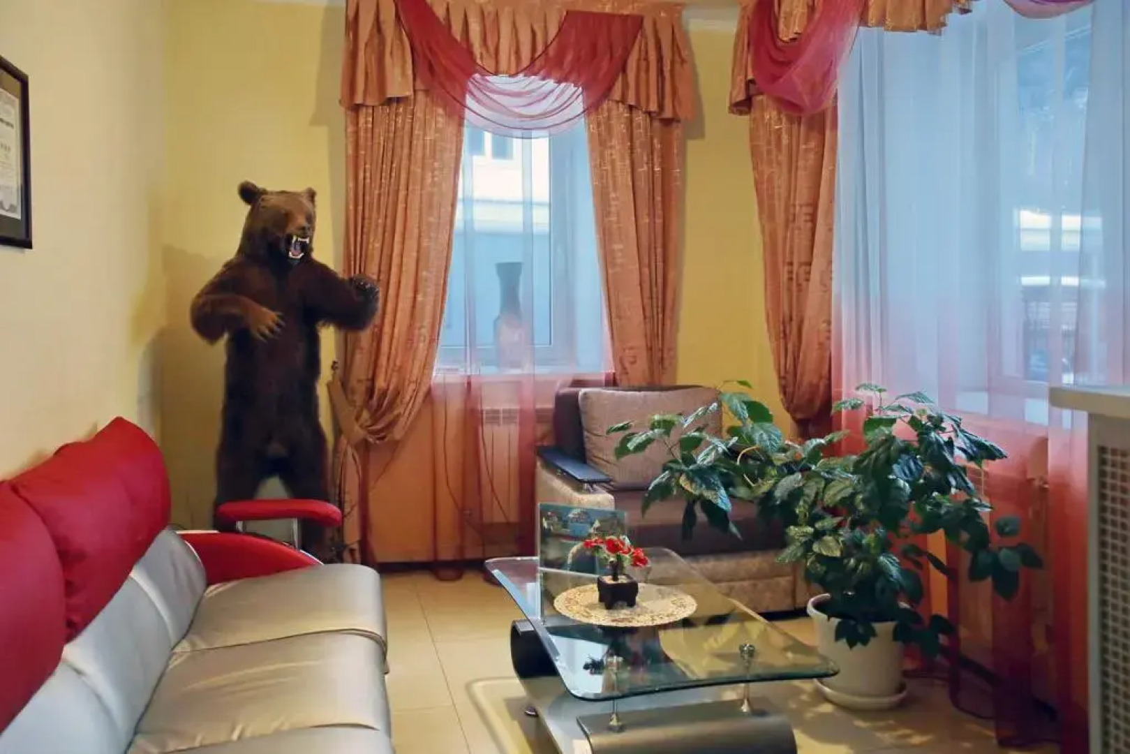 Отель Фотон