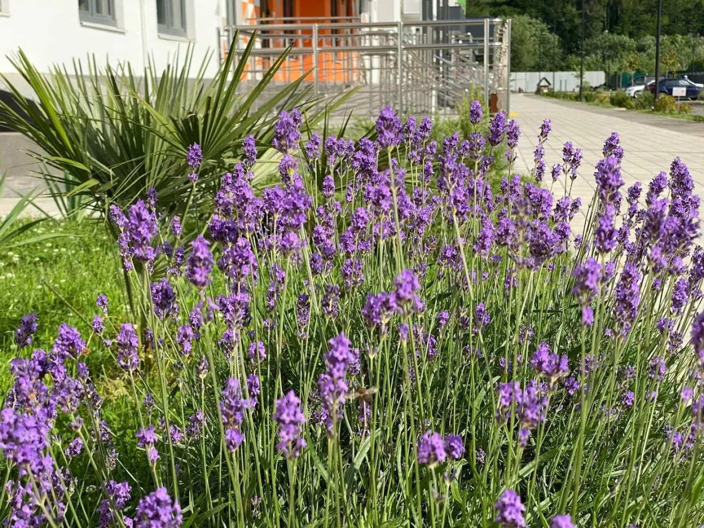 Квартира Капри Хаус Кудепста