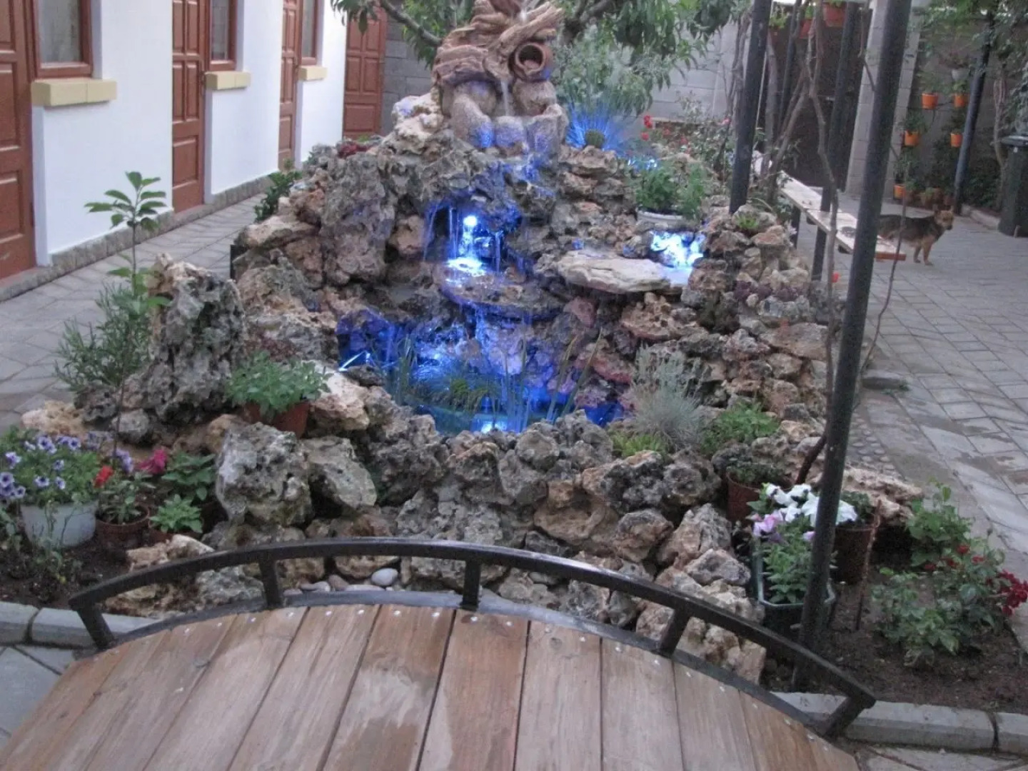 Меблированные комнаты У Чижика