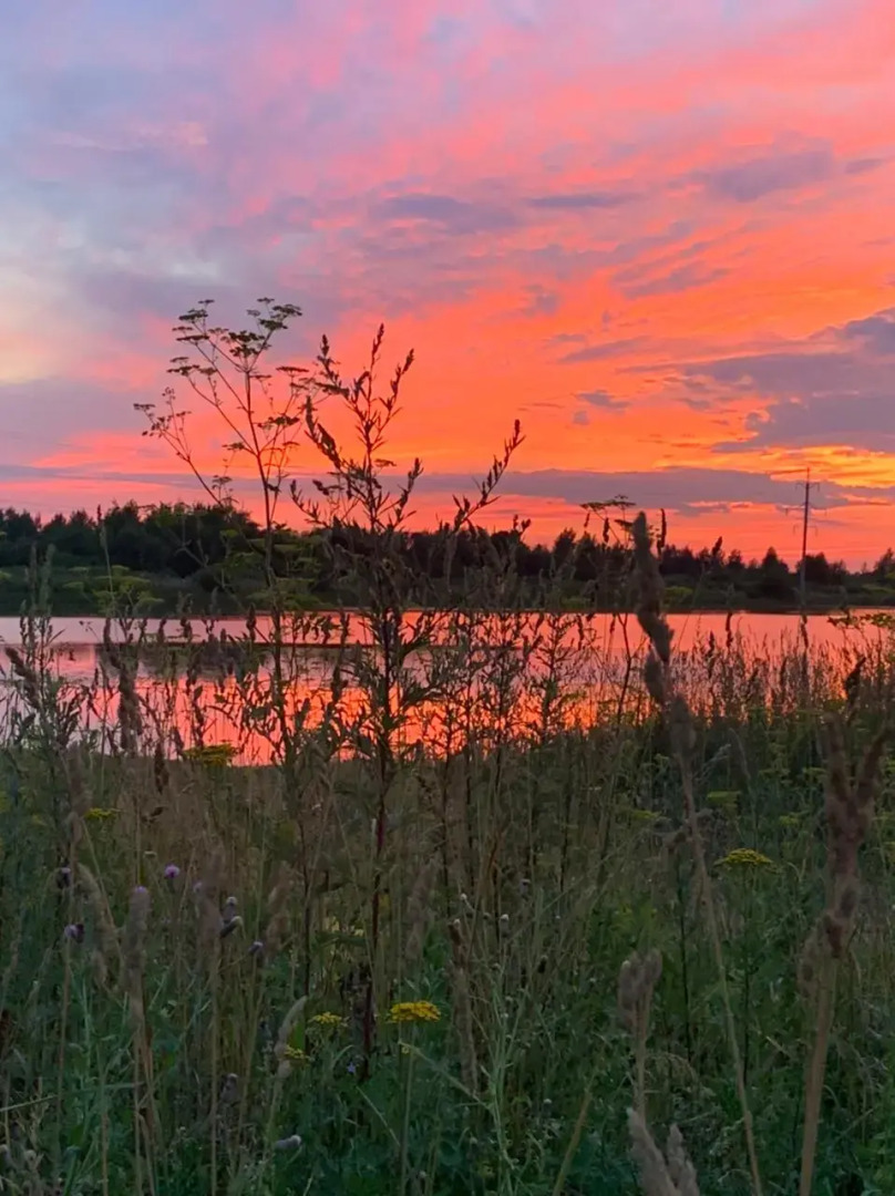 Санаторий Золотой Колос
