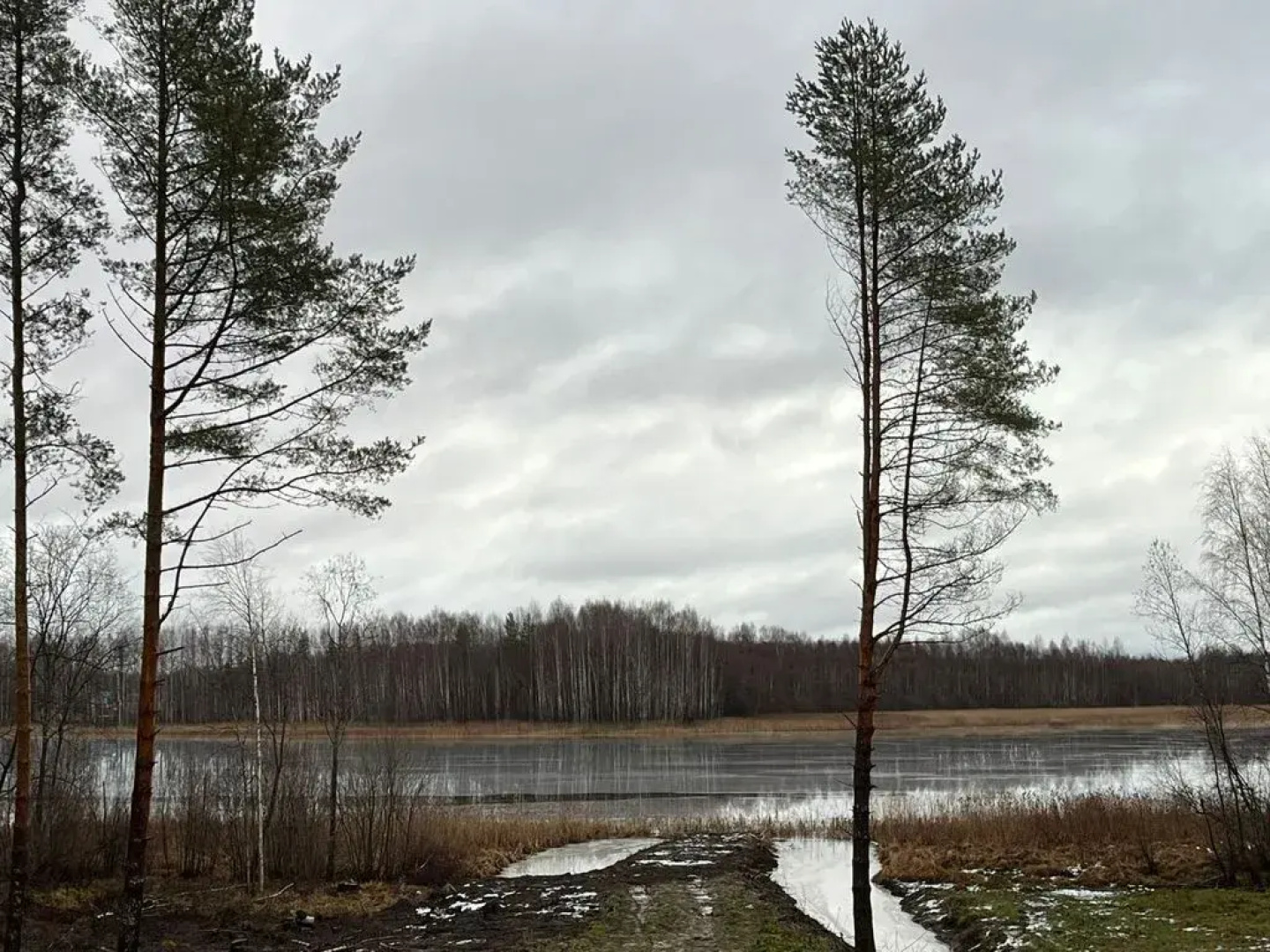 Частный дом на берегу озера Кончезеро