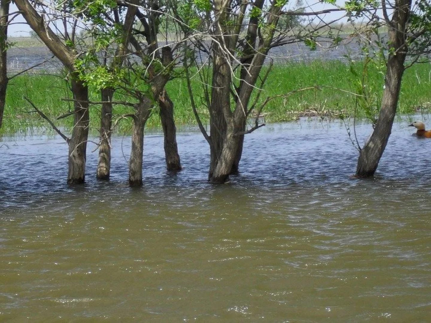 База Отдыха Волчок