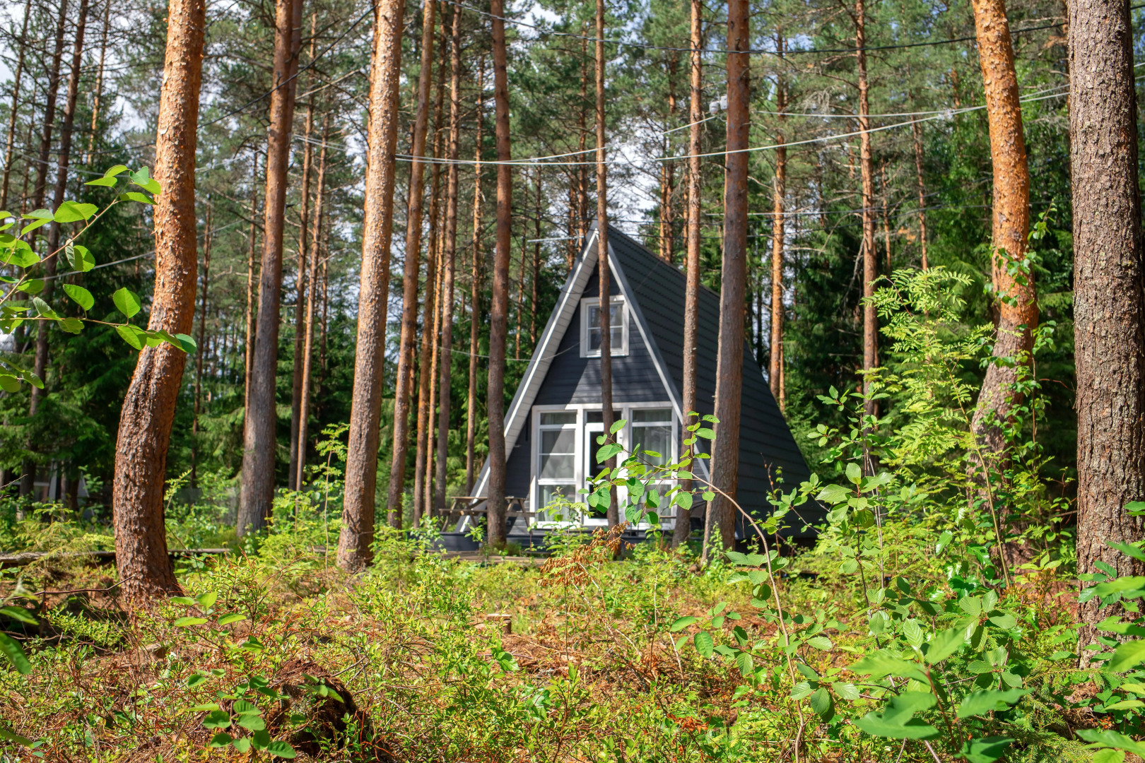 Шале Пикник 2.0