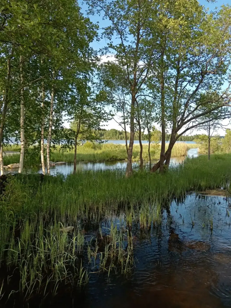 Гостевой дом "Загородный"