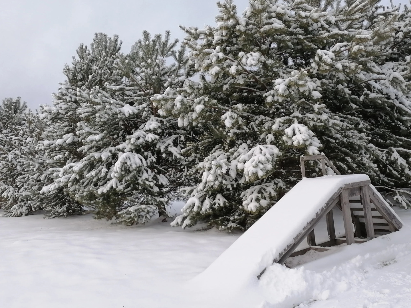 Частный дом тихаязаводь76-1