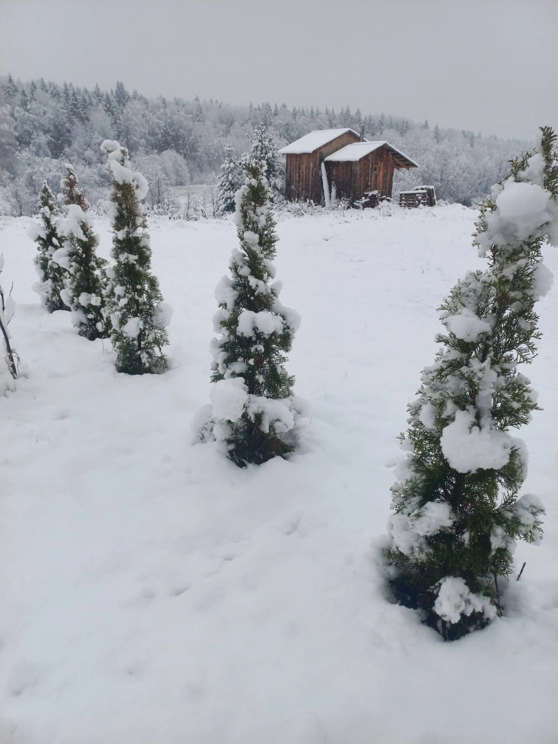 Частный дом Речная Заимка