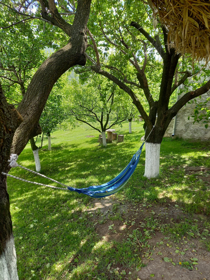 Гостевой дом Ijevan's Garden