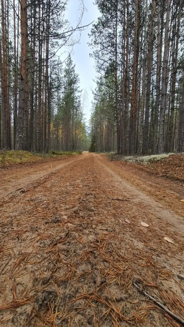 Гостевой дом Лисий берег
