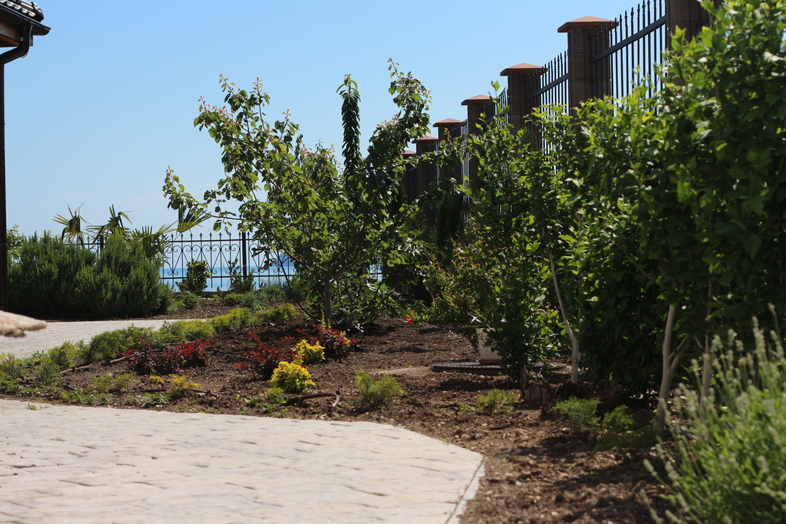 Апартаменты Авокадо