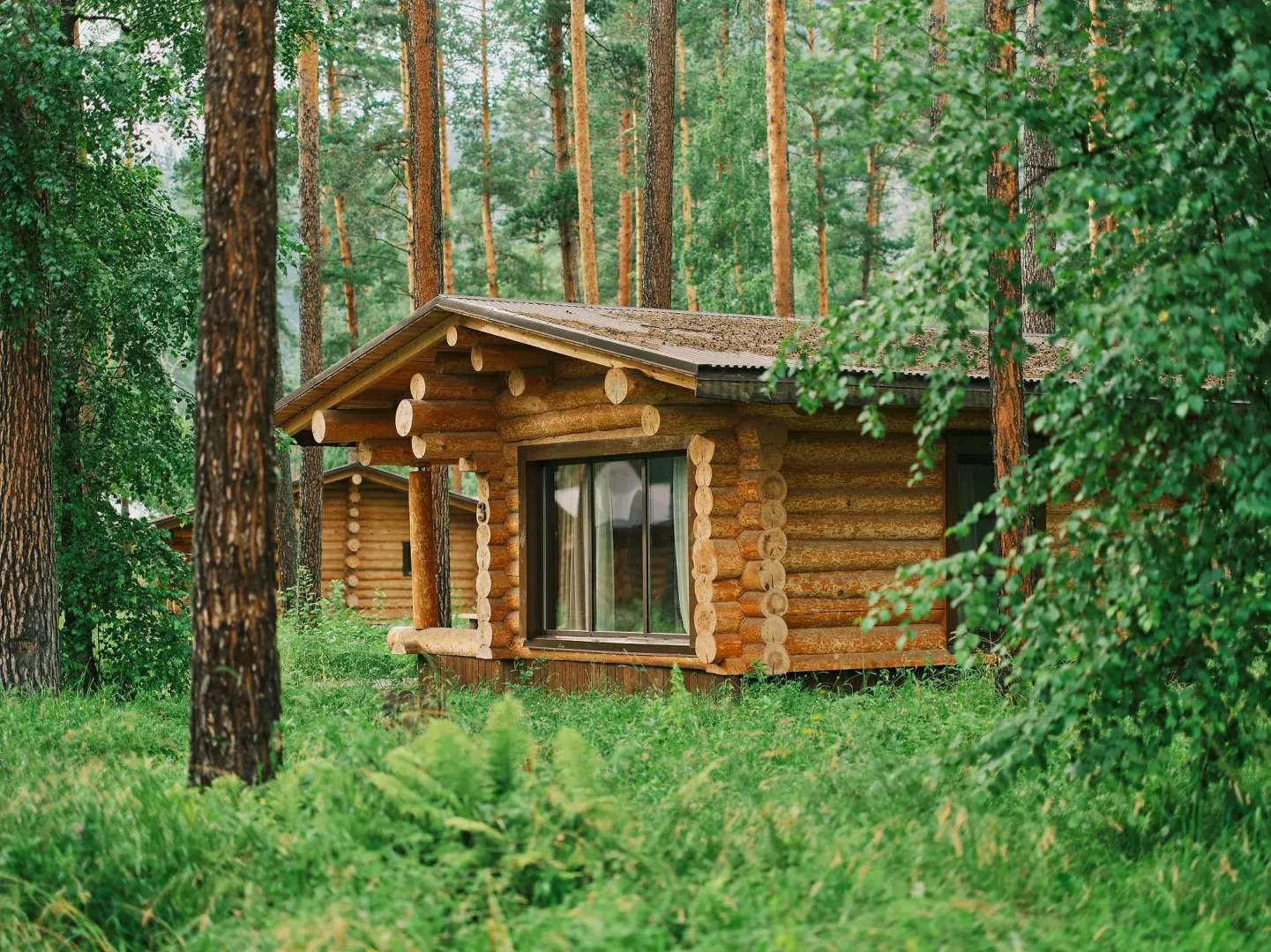 База отдыха Эко-отель Altay Sense