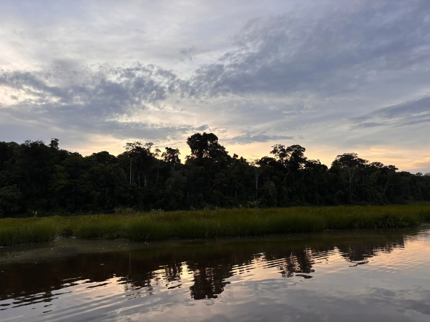Отель Refugio Amazonas