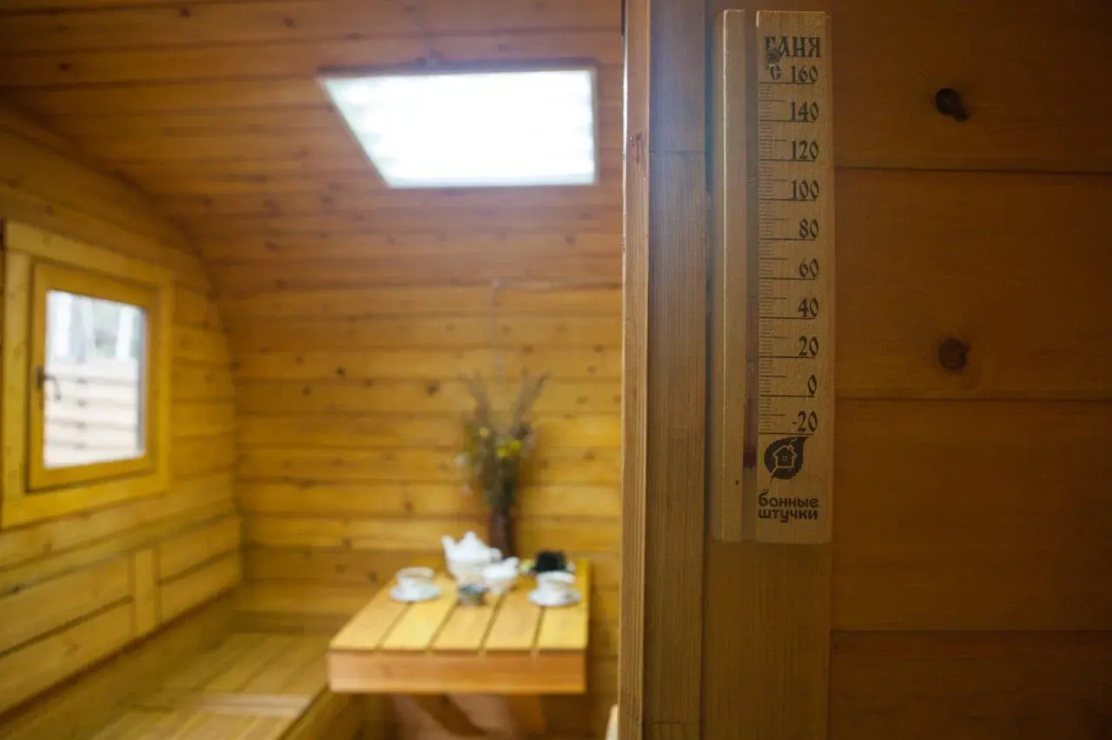 Частный дом Барнхаус "Весна"