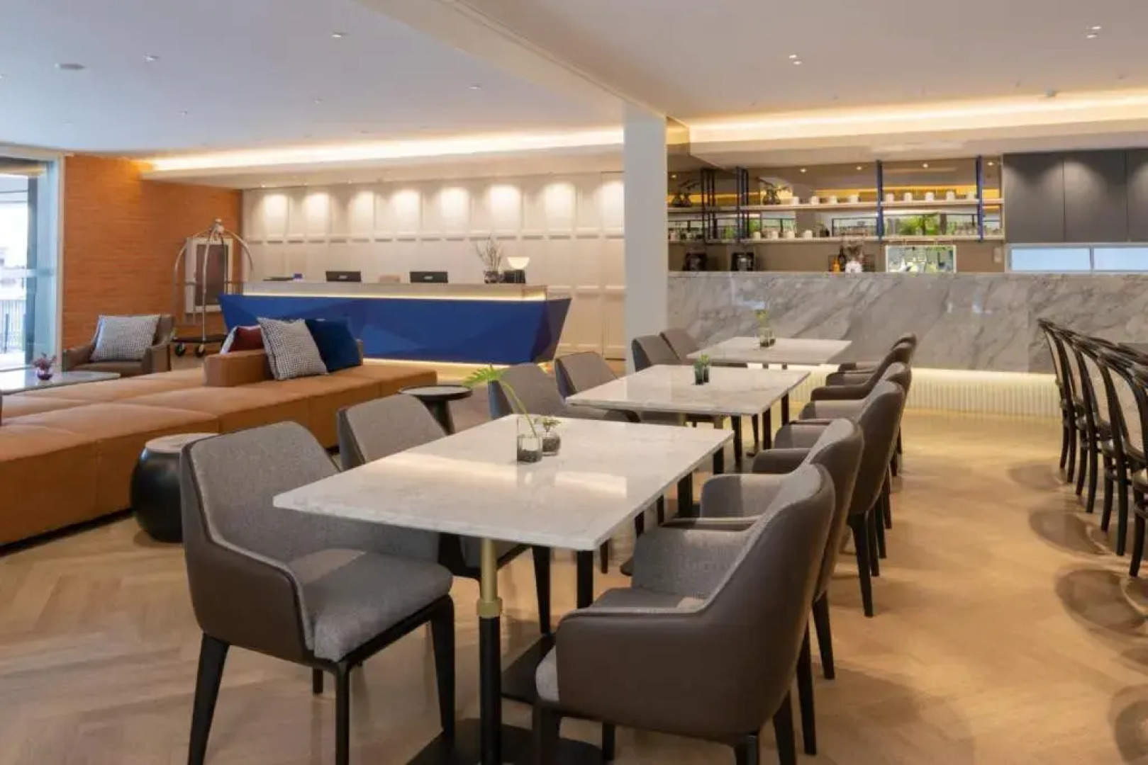 Отель Blue Hippo Hotel