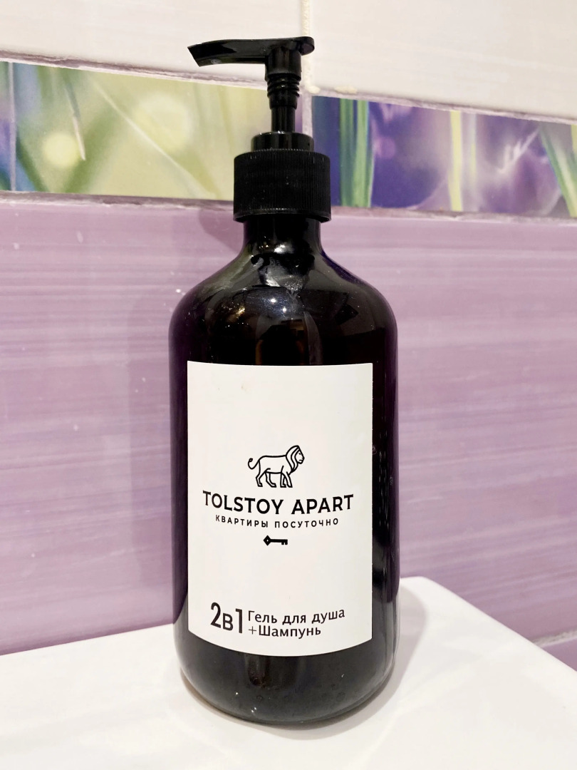 Квартира Толстой Советская