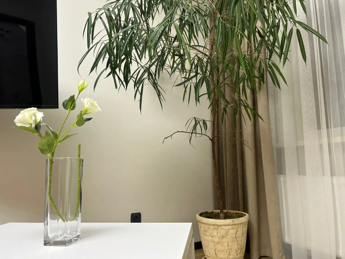 Сеть Апартаментов «Атмосфера» | Лазурь — Удобство И Чистота, Созданные Для Вас