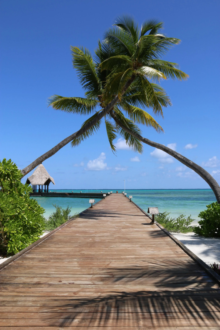 Canareef Resort Maldives