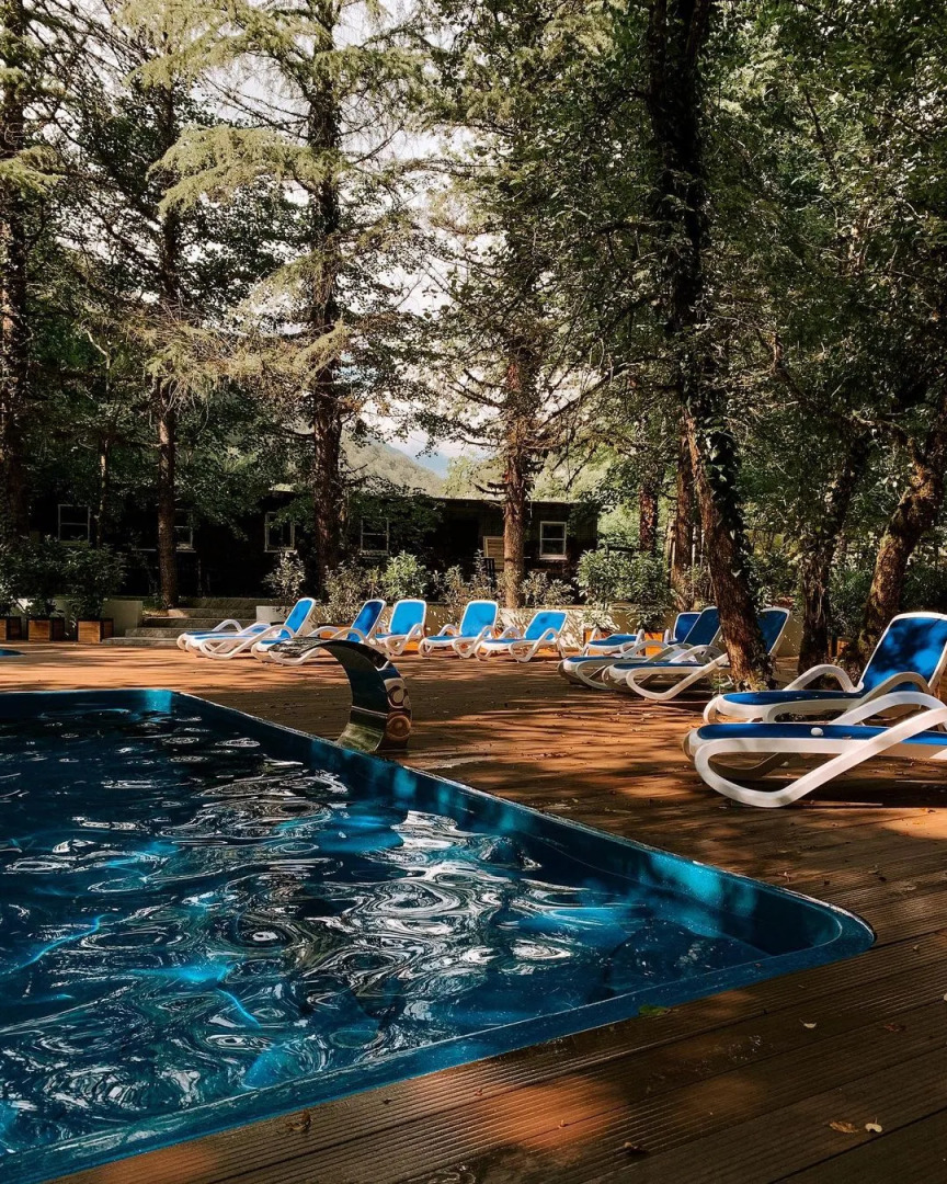 ЛЕС Глэмпинг и SPA