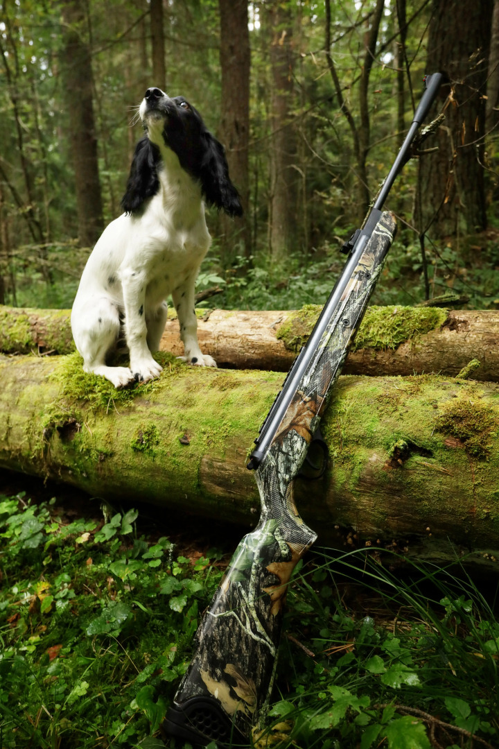 Отель Заповедный край