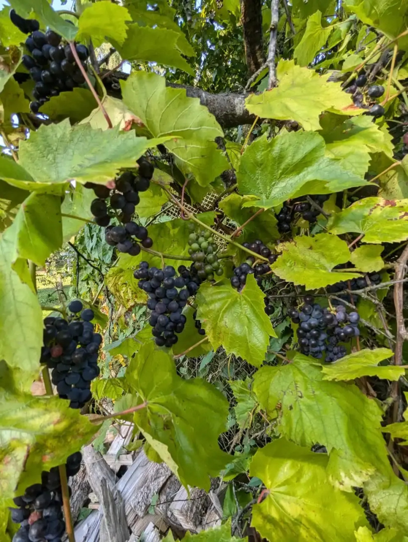 Квартира на море