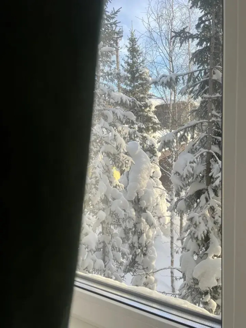 Апартаменты 5 красно-зеленые