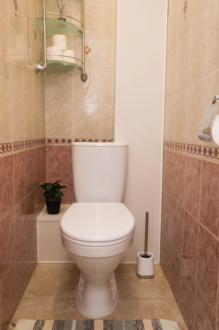 Квартира Ленина