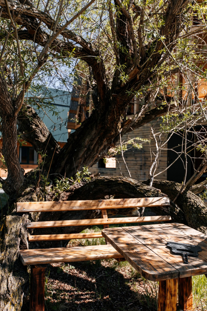 Гостевой дом Алтайские дачи