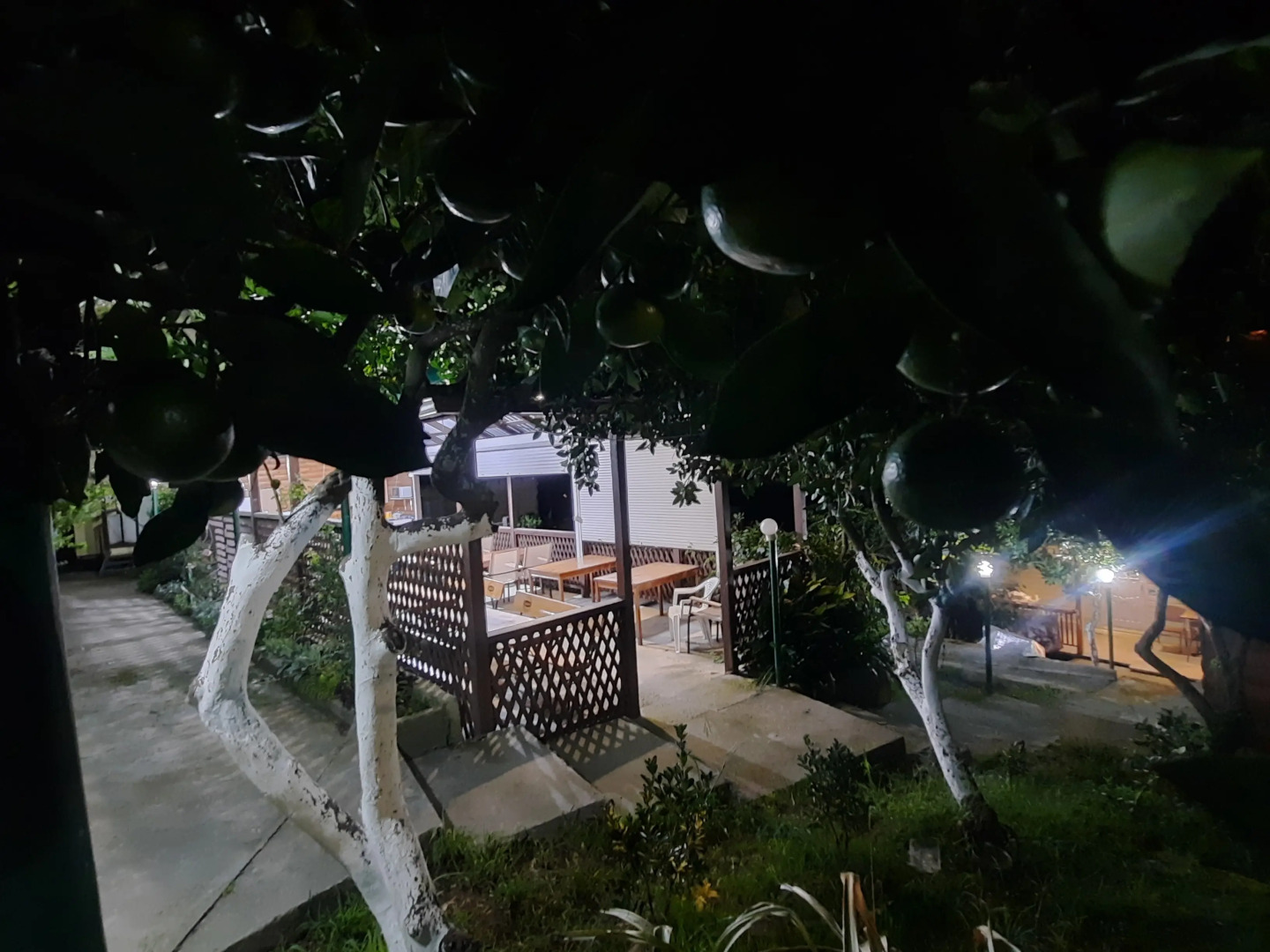 Гостевой дом Мандариновый Рай