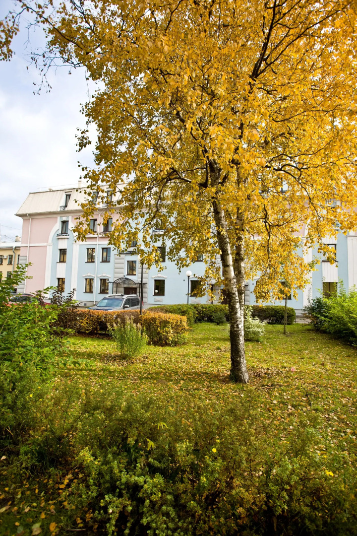 Отель Камея