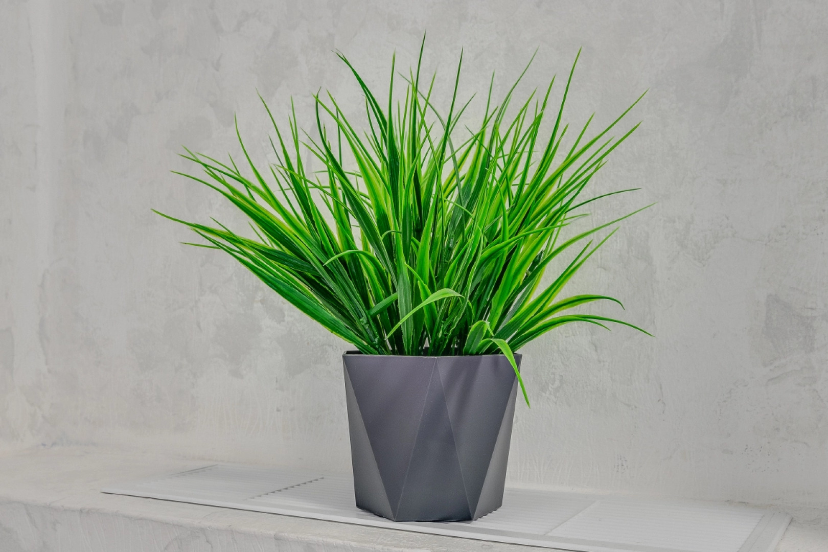 Апартаменты Дмитриевский Собор - Владимирская Русь - Исторический Владимир