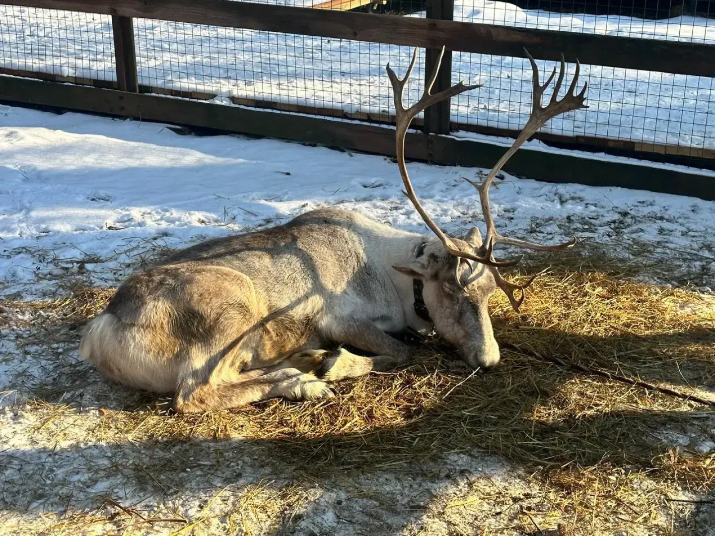 Гостевой дом Порт Внуково