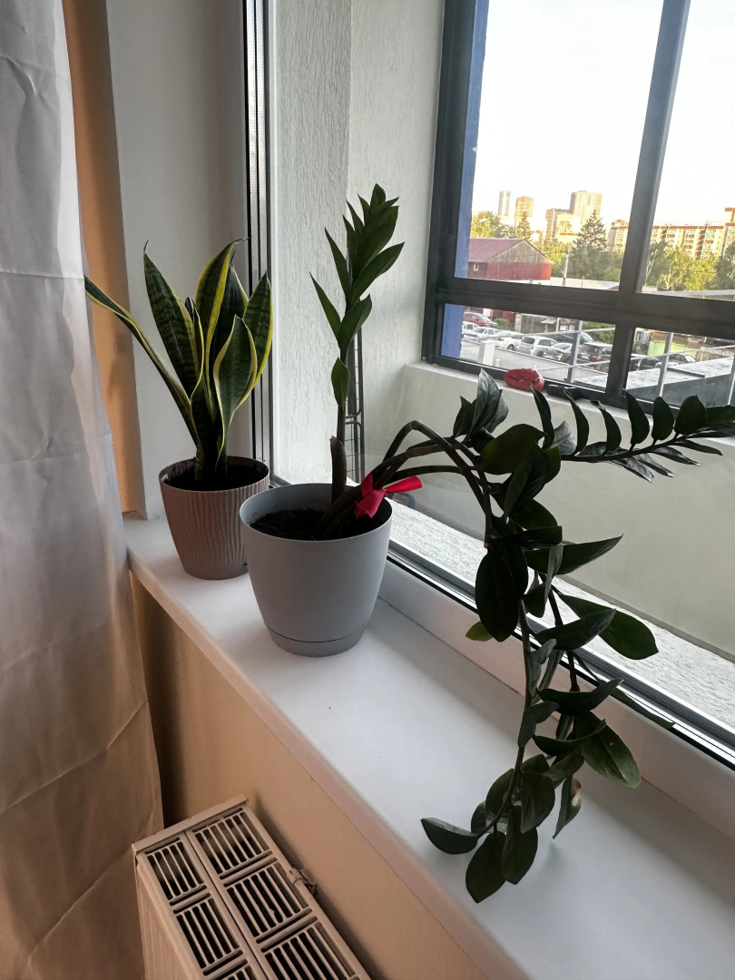 Квартира Уютная большая студия в новом ЖК