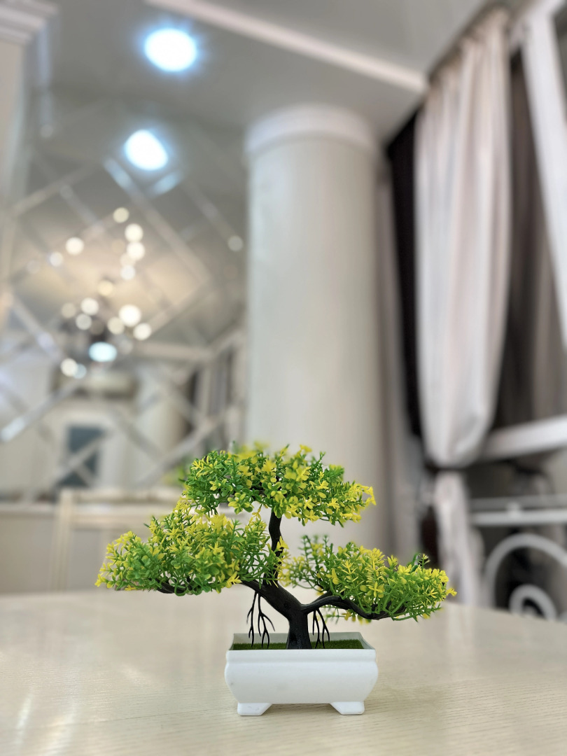 Апартаменты Элитные в Центре Города