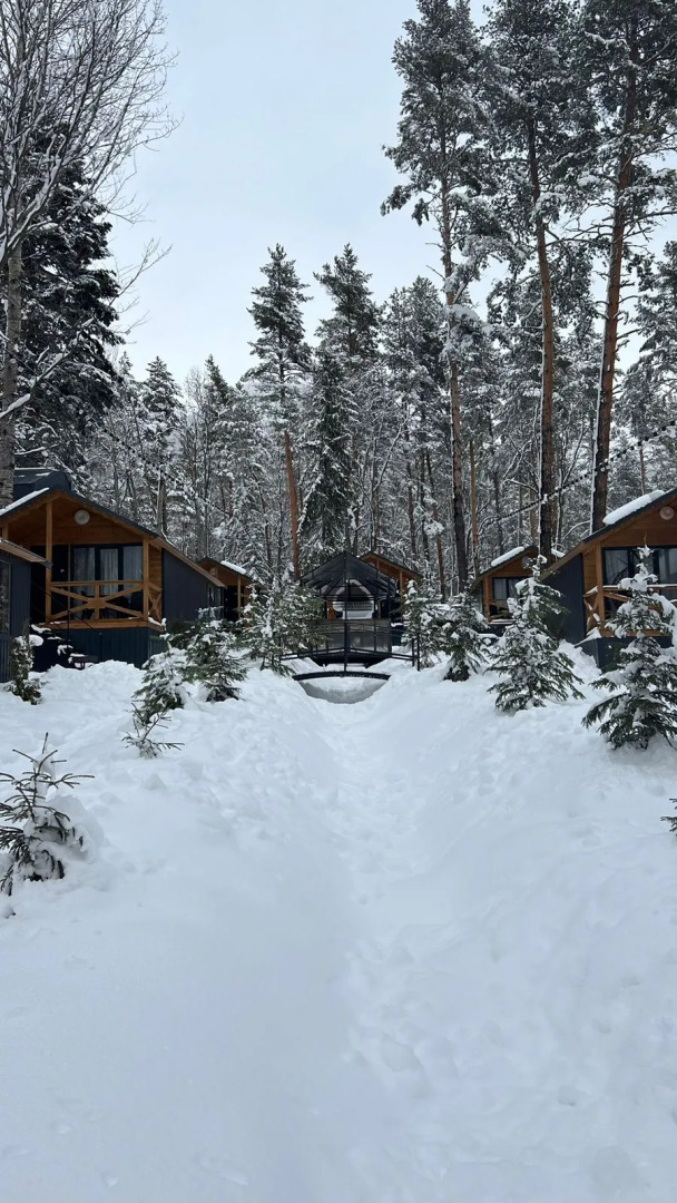 База отдыха Сосновка