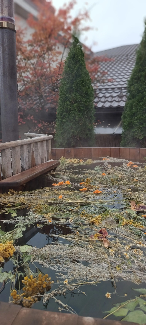 Частный дом с Баней и Купелями