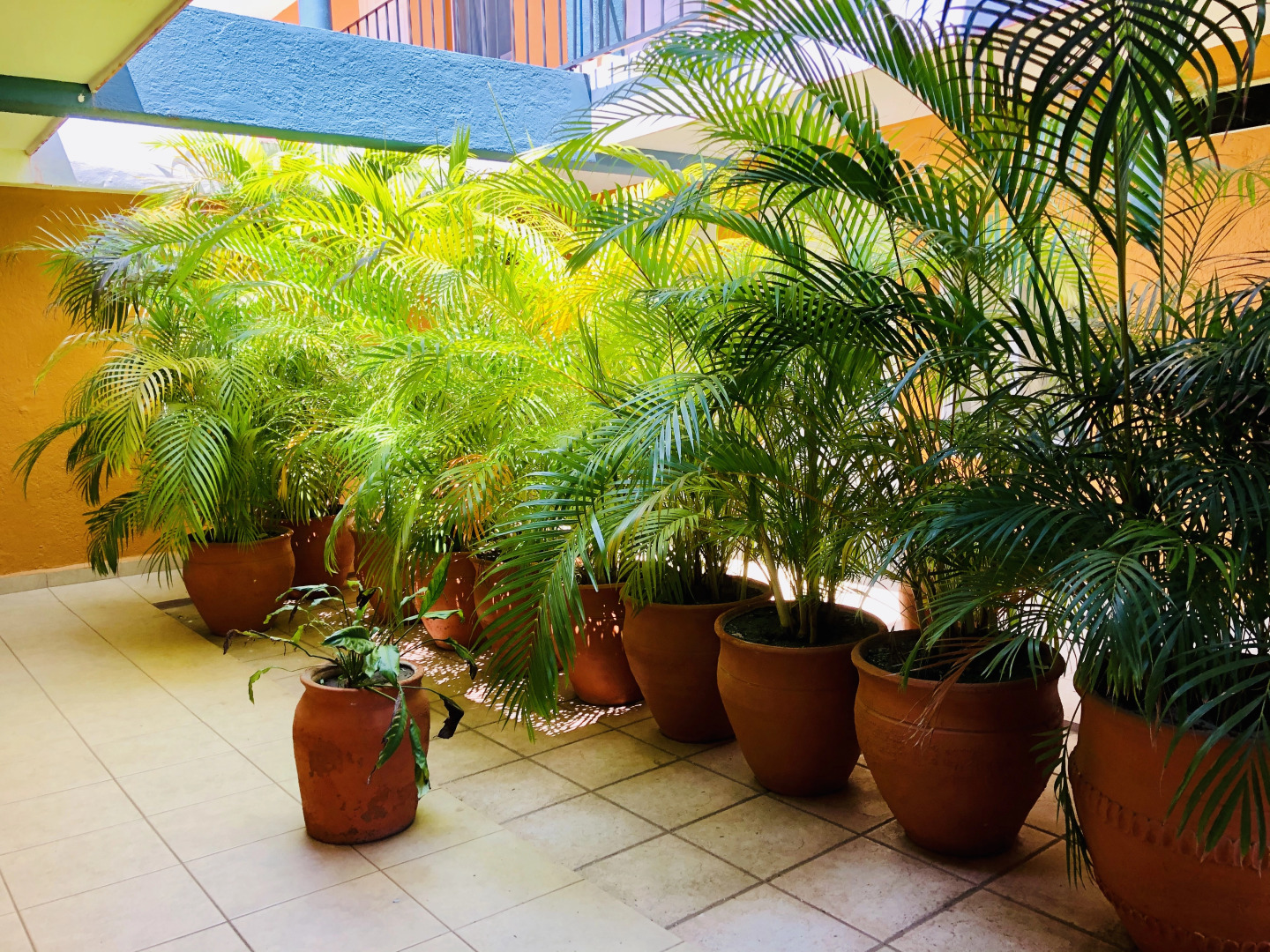 Отель Playa del Parque By Rotamundos