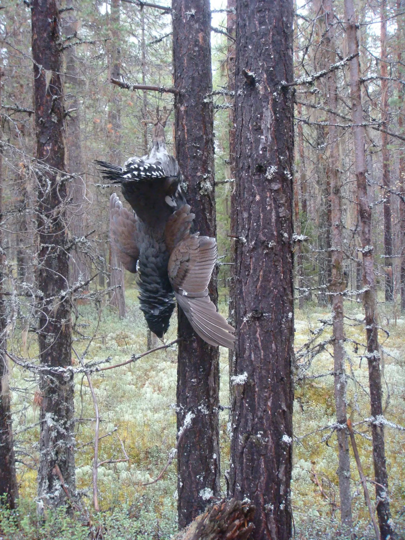 Гостевой дом Холм