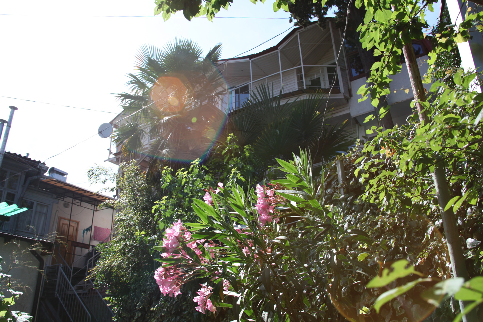 Гостевой Дом Пальма