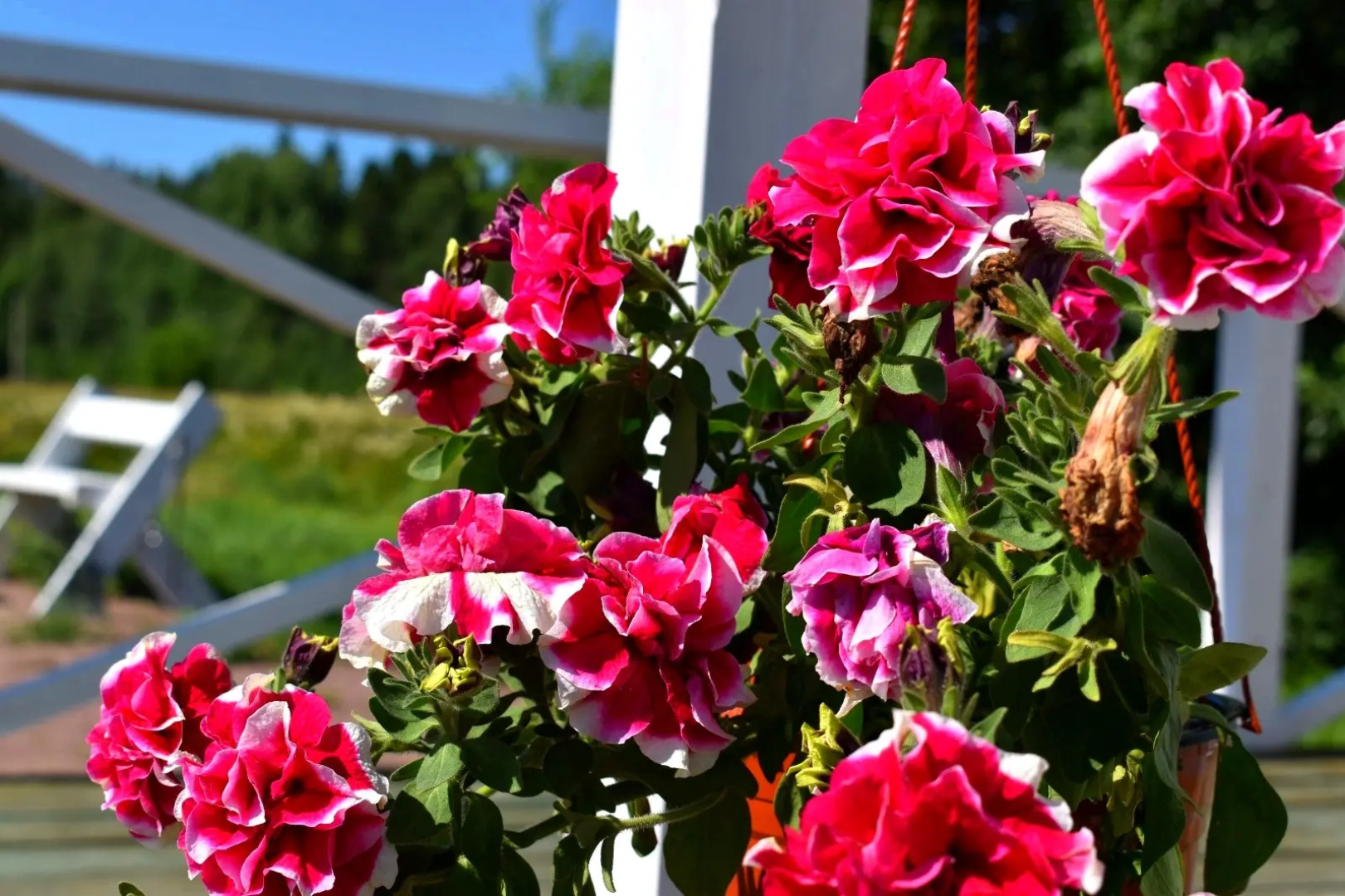 Частный дом Саари