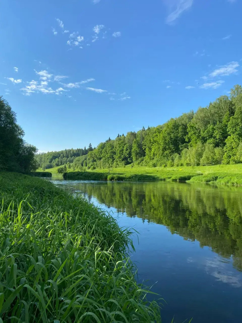 Частный дом Тихая гавань