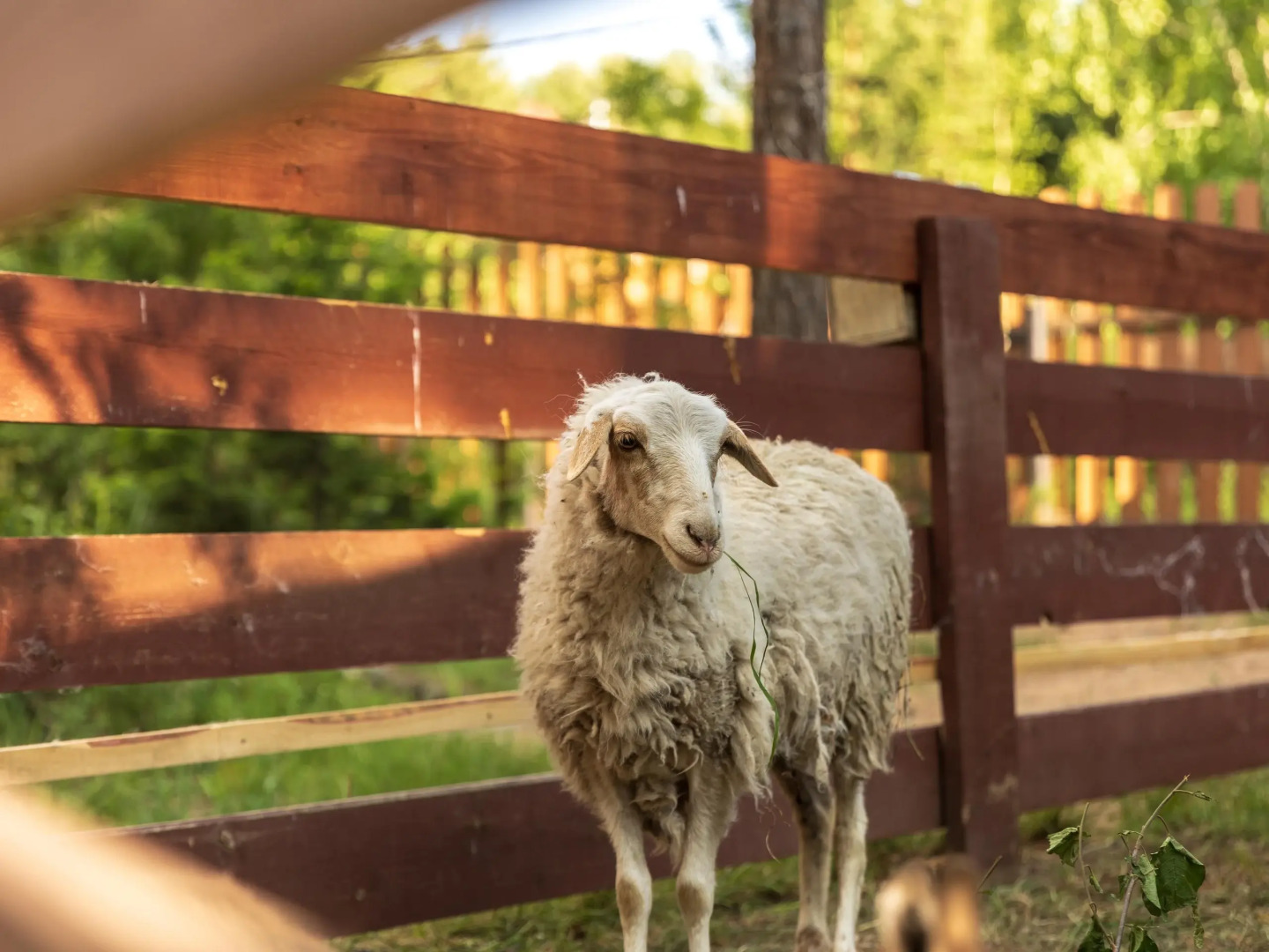 Отель Кумуткан