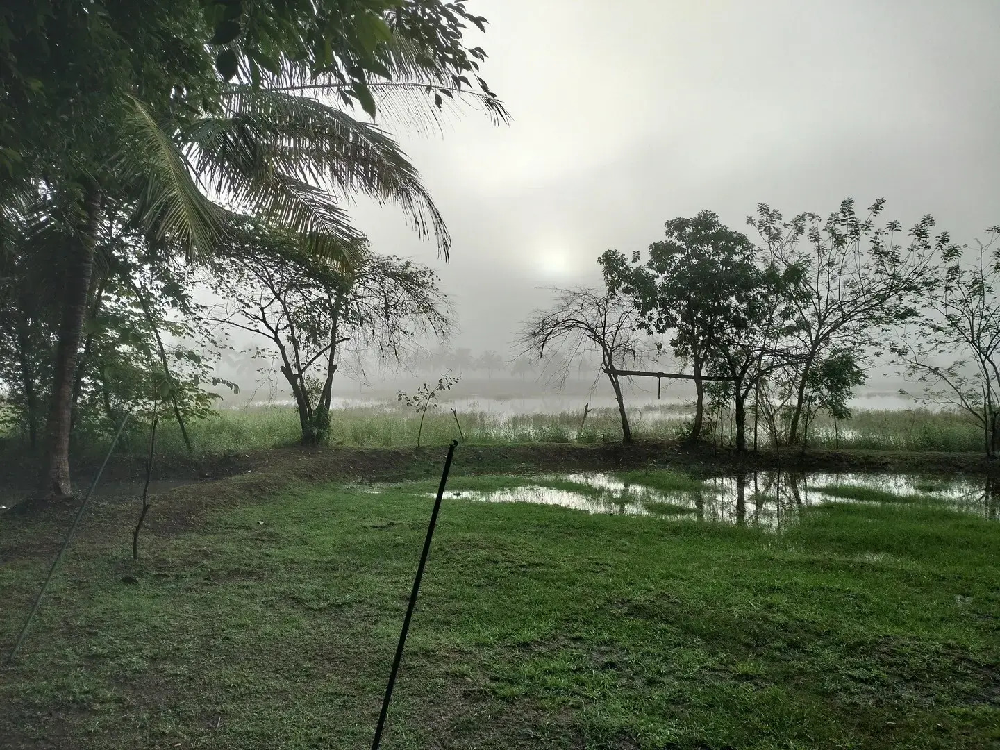 Глэмпинг Harmony Haven in Udawalawe