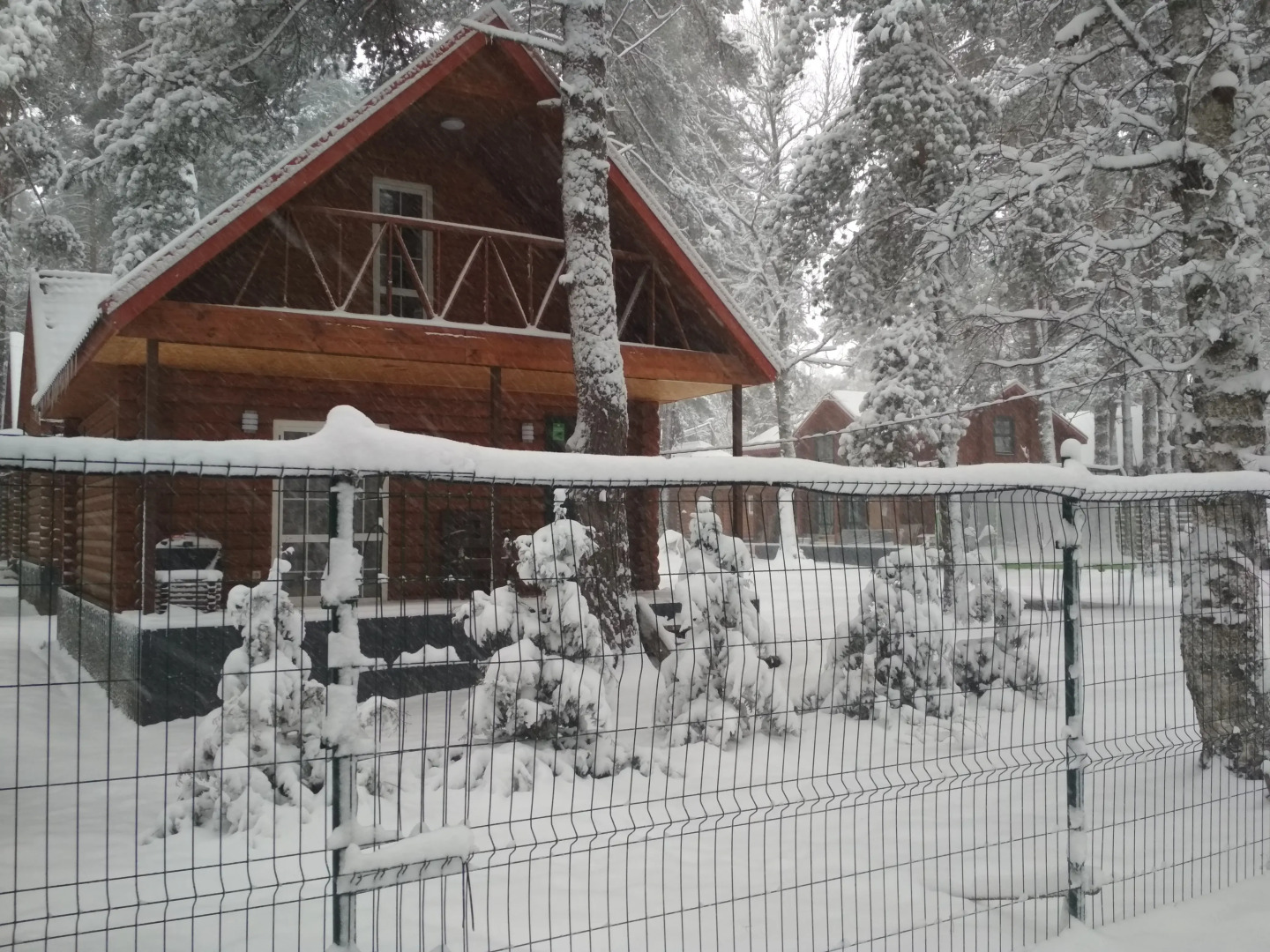 База отдыха Архыз Форест Эко