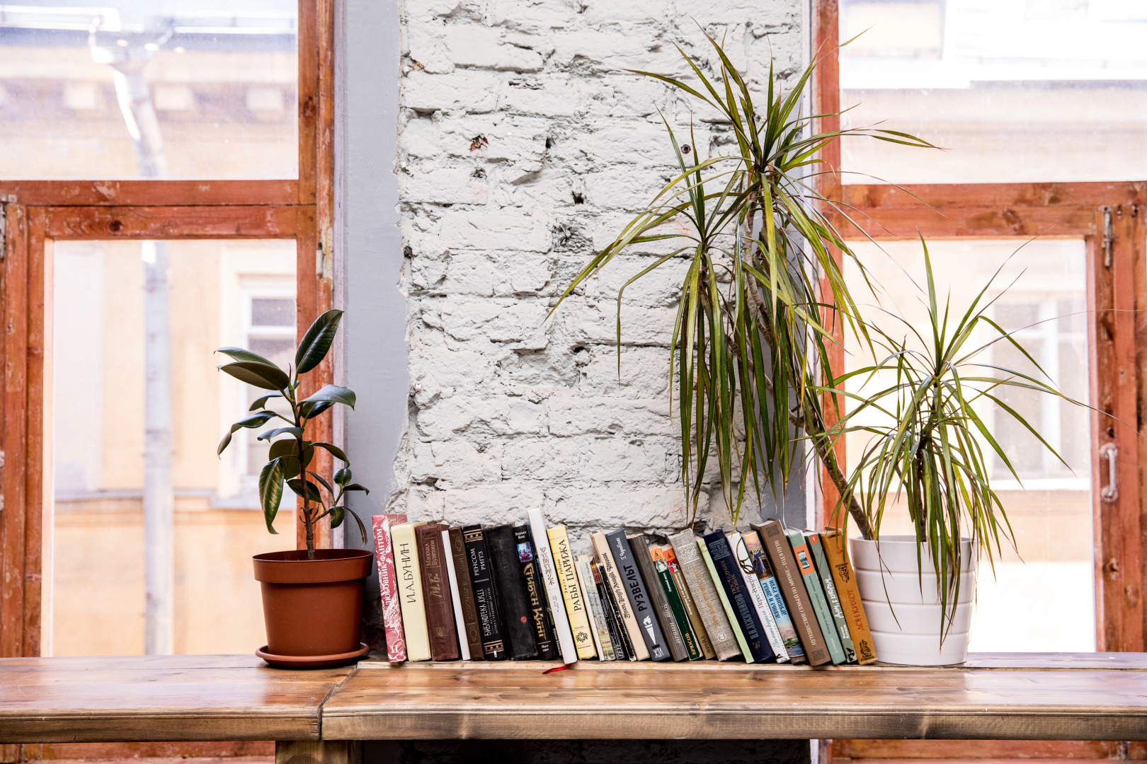 Хостел Woody Backpacker Party