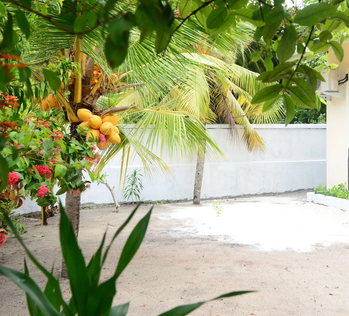 Гостевой Дом Maclura Residence