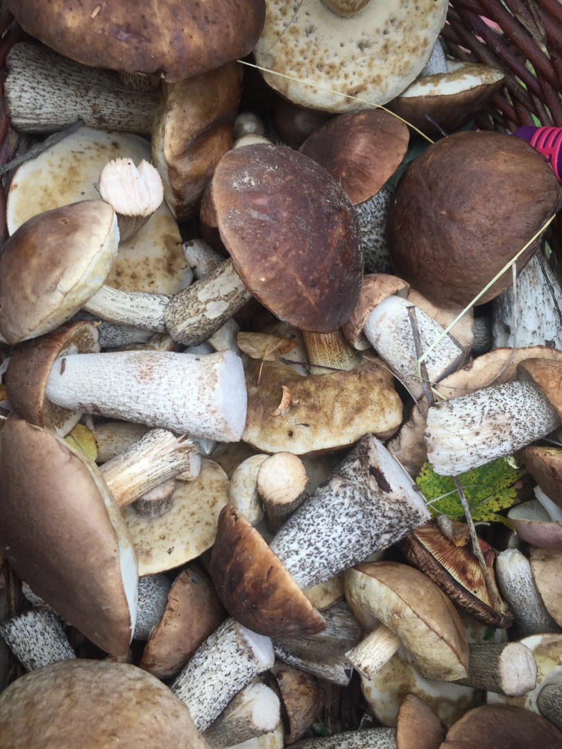 Гостевой дом Брейтово