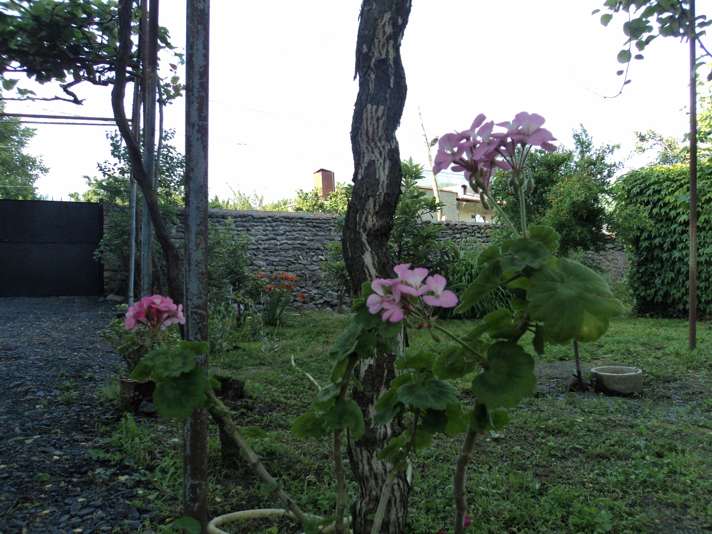 Гостевой Дом Violet